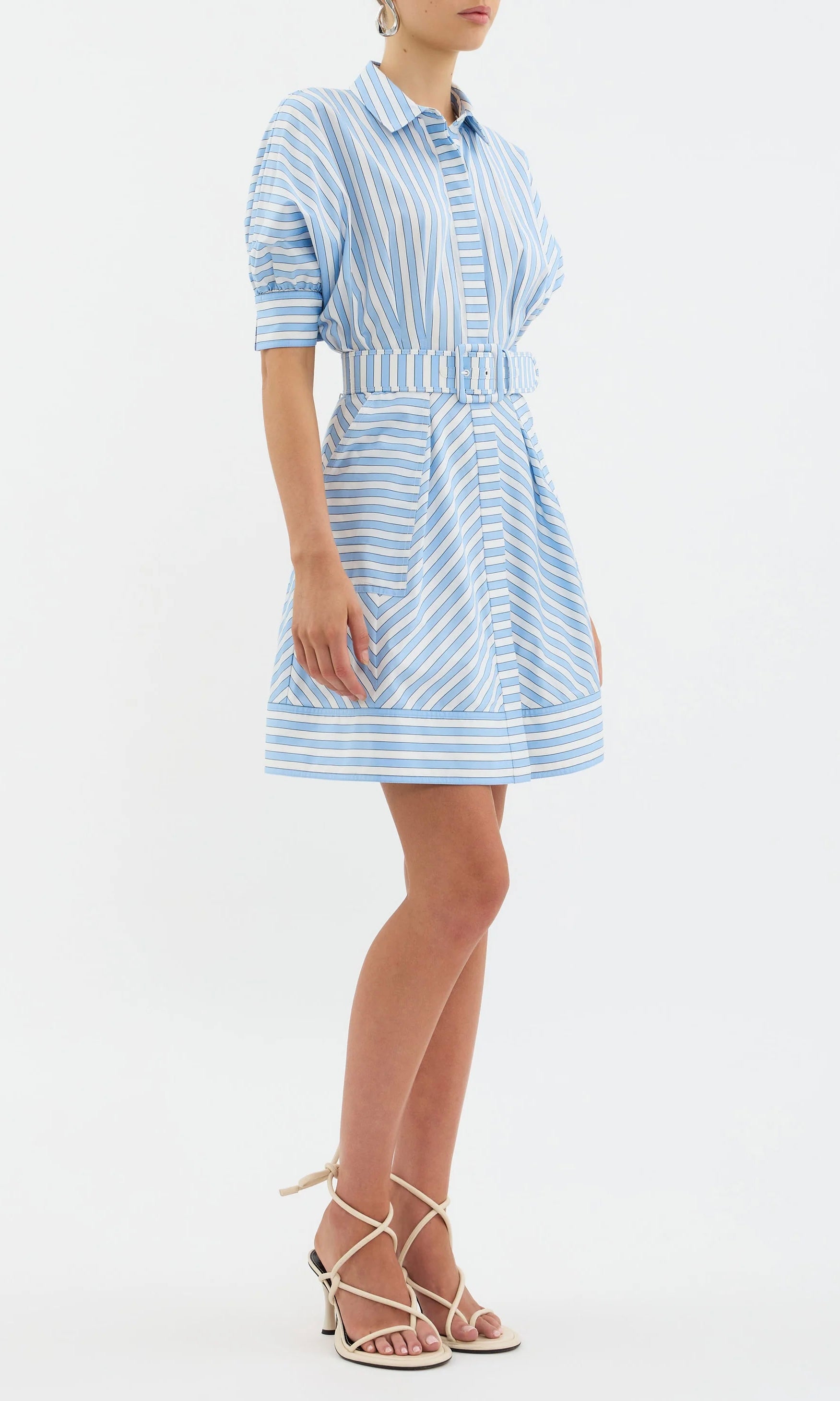 Rebecca Vallance Ava Button Up Mini Dress In Blue Stripe
